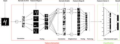 From identification to forecasting: the potential of image recognition and artificial intelligence for aphid pest monitoring